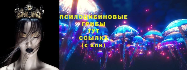 молекула духа Заволжье