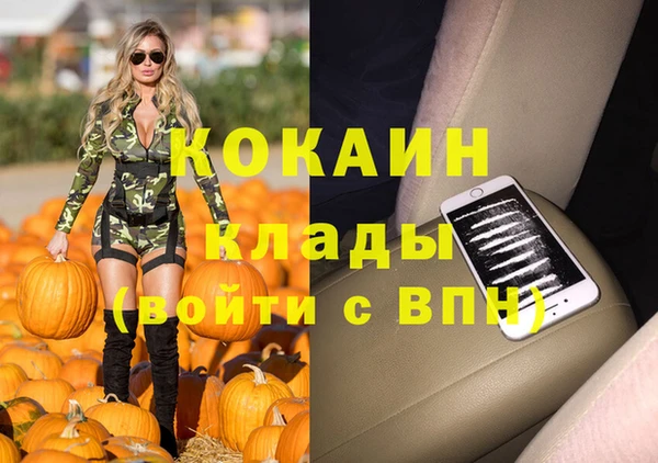 молекула духа Заволжье