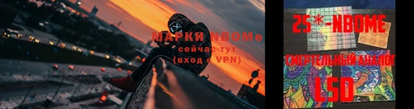 молекула духа Заволжье