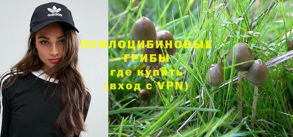прущая мука Заволжск