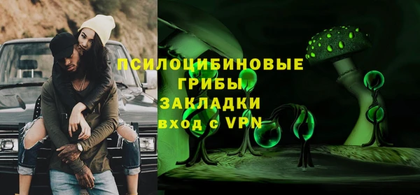 молекула духа Заволжье