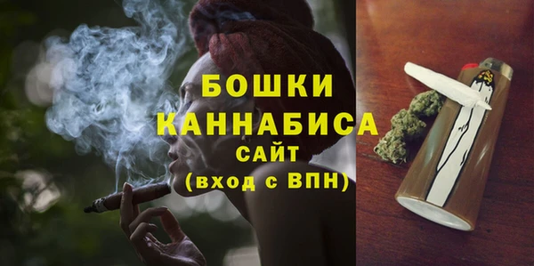 молекула духа Заволжье