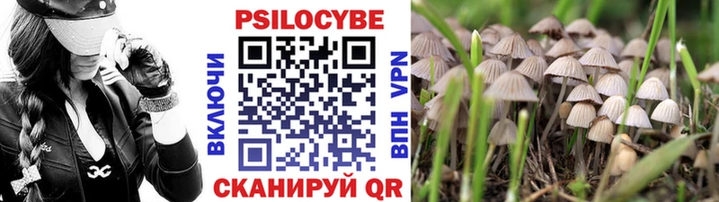 Галлюциногенные грибы GOLDEN TEACHER Новоаннинский