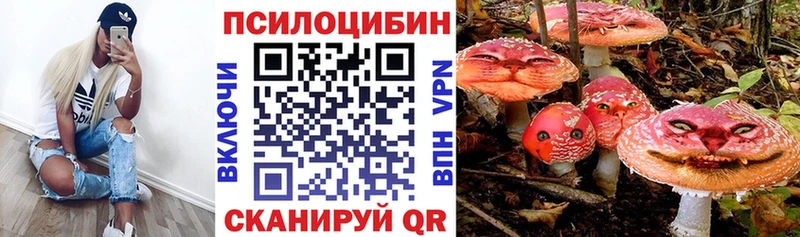 купить наркоту  Новоаннинский  Галлюциногенные грибы прущие грибы 